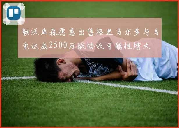 勒沃库森愿意出售格里马尔多与马竞达成2500万欧协议可能性增大